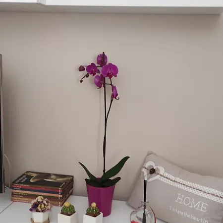 A Casa Di Chiara * Lecce