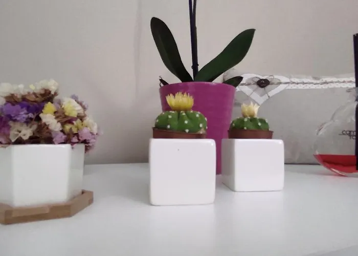A Casa Di Chiara アパート レッチェ