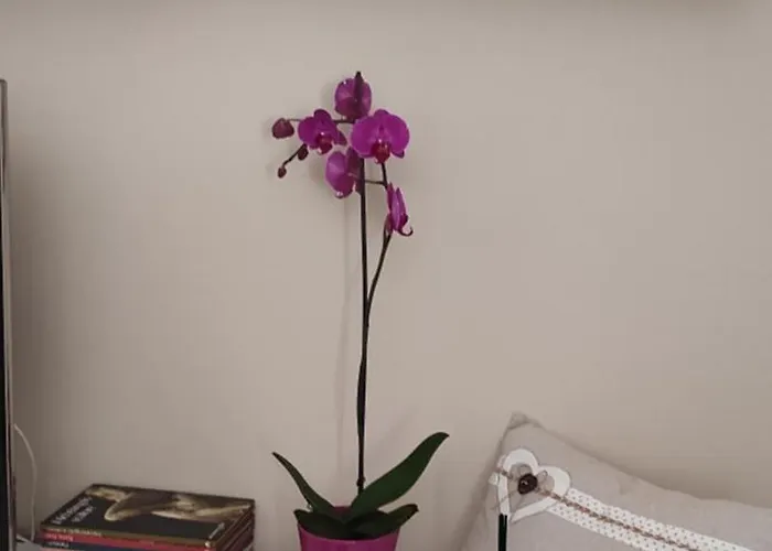 A Casa Di Chiara * レッチェ